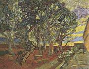 Vincent Van Gogh The Garden of Saint-Paul Hospital (nn04) France oil painting artist